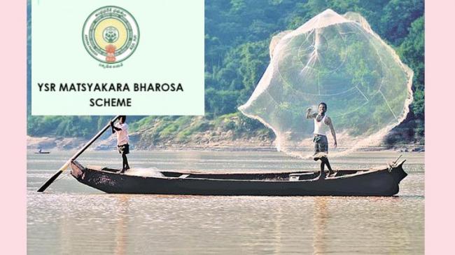 Third tranche of Rs 130 Crore To Be Credited Into Fishermen's Account On May 18, 2021 - Sakshi Post