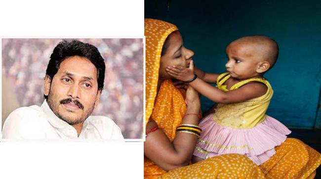 File Pic of AP CM YS Jagan | Inset Pic Source: Twitter - Sakshi Post