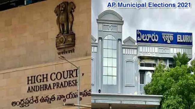 Andhra Pradesh: SEC issues orders for counting of Eluru Municipal Elections on July 25 - Sakshi Post