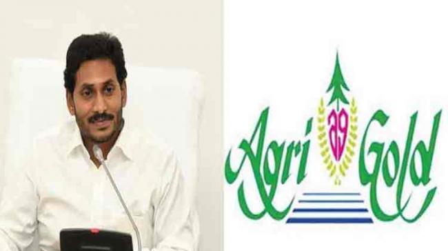 AgriGold Scam: TDP Issued GO To Compensate Victims Just Two Months Before 2019 Elections - Sakshi Post