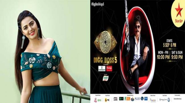 - Sakshi Post