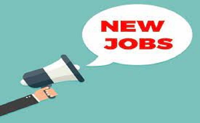 Good News For Unemployed Youth in Hyderabad, Mega Job Drive On This Date  - Sakshi Post