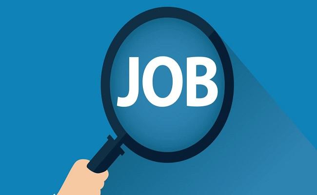 Hyderabad Job Drive to Fill 3K Vacancies - Sakshi Post
