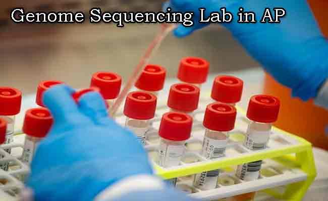 AP To Set Up Genome Sequencing Lab With CCMB In Vijayawada Medical College - Sakshi Post