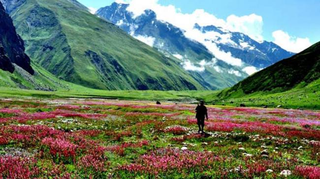 Valley Of Flowers And More - Sakshi Post