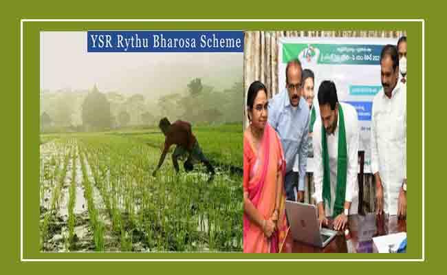 YSR Rythu Bharosa: 3rd Year In A Row YS Jagan Releases Rs 50.08 Lakh For Farmers - Sakshi Post