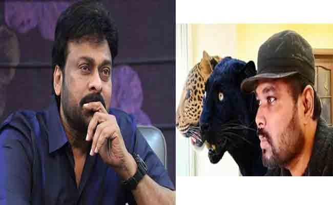 Chiranjeevi Prays For Safety Of Andhra-born Doctor And His Pets Stuck In Ukraine - Sakshi Post