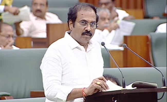 AP Budget 2022-23: Rs 11,387.69 Allocated For Agriculture, Allied Sectors - Sakshi Post