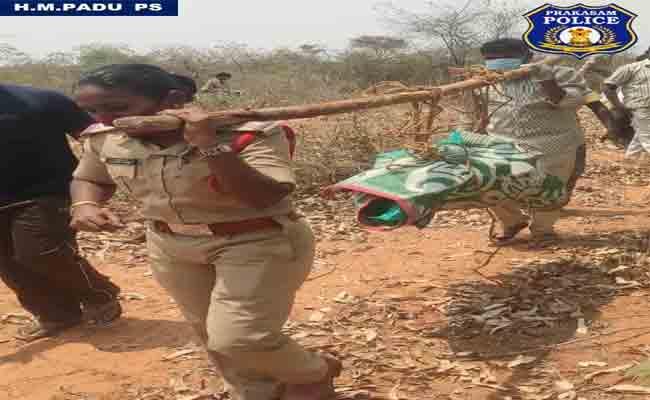 H.M.Padu SI Krishna Pavani carries a semi-decomposed body on her shoulders to shift the body from the Hazipuram forest area - Sakshi Post