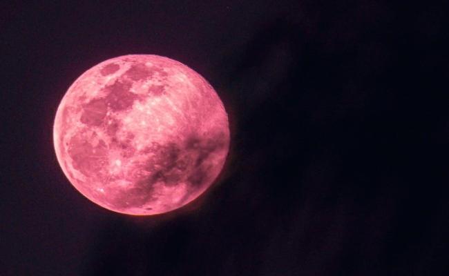 strawberry moon 2022 india - Sakshi Post