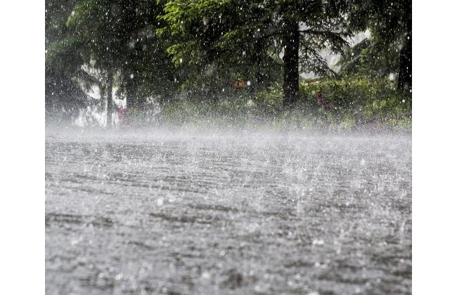 Telangana Rains - Sakshi Post
