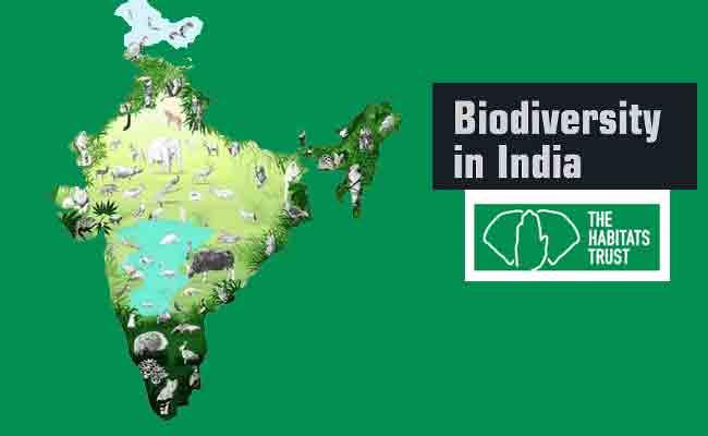 The Habitats Trust Announces Grants  For Organizations/Individuals Working Towards Securing India’s Biodiversity - Sakshi Post