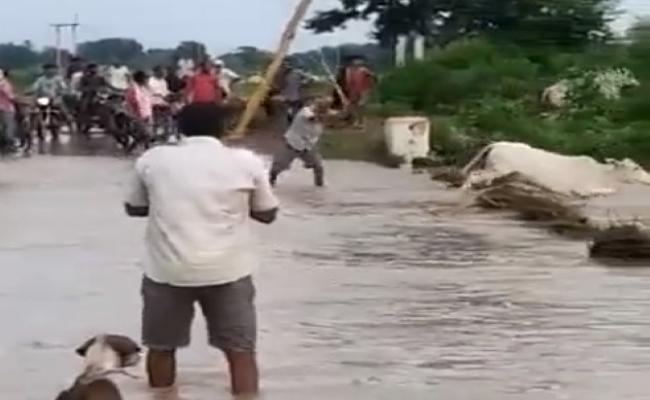 Screen grab of viral video -Sakshi Post
