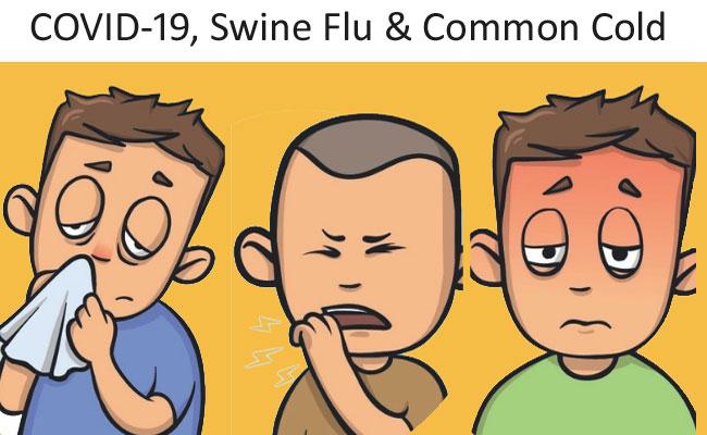 Here's How You Can Differentiate Between COVID-19, Swine Flu, And Common Cold Symptoms  - Sakshi Post