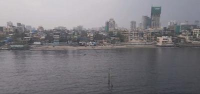 - Sakshi Post