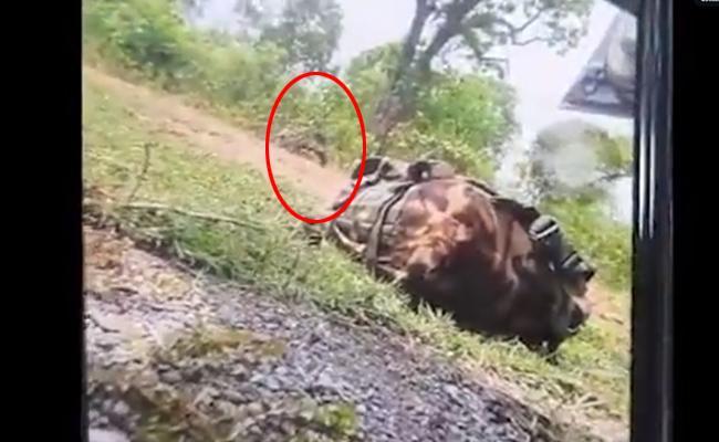 Screengrab of viral vide of moments after Dantewada attack Screengrab of viral vide of moments after Dantewada attack - Sakshi Post