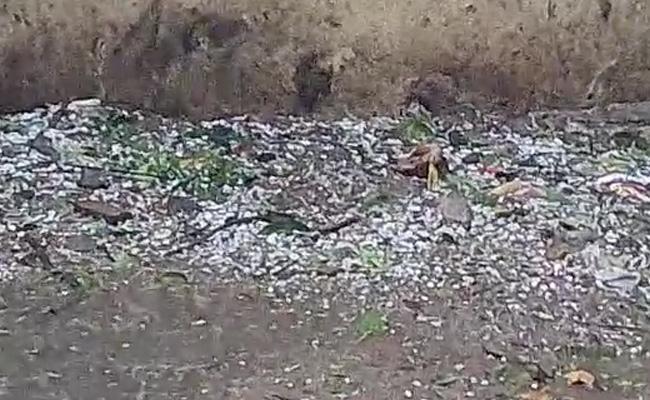 Telangana: IMD Issues Orange Alert For Hailstorms In These Places - Sakshi Post