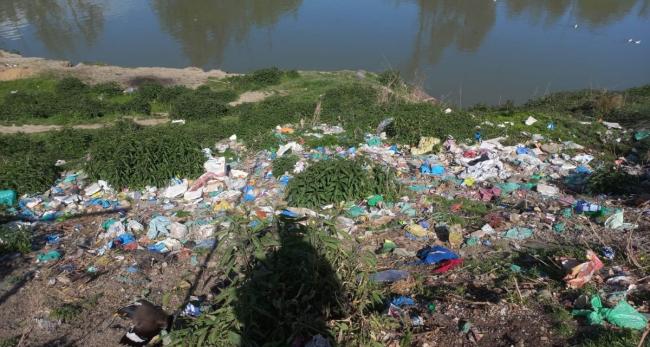 - Sakshi Post