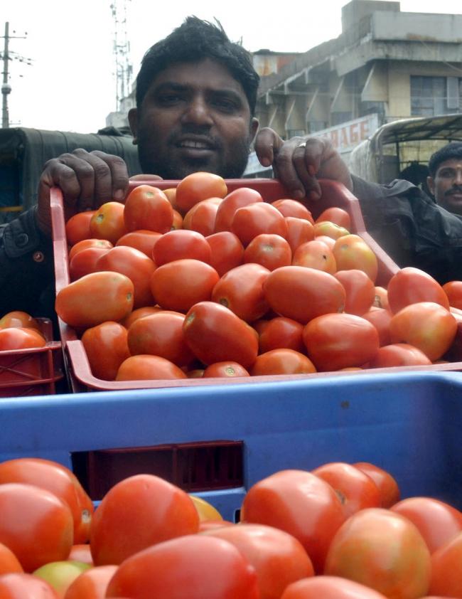 tomatoes prices in bengaluru - Sakshi Post