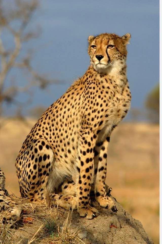  - Sakshi Post
