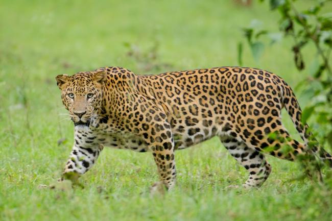 - Sakshi Post