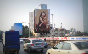 - Sakshi Post