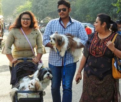 - Sakshi Post