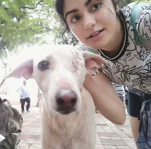  - Sakshi Post