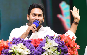 - Sakshi Post