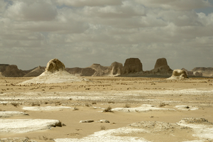 - Sakshi Post