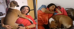 - Sakshi Post
