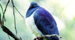- Sakshi Post