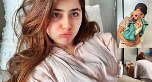 - Sakshi Post