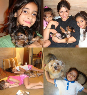  - Sakshi Post