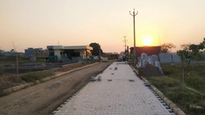 - Sakshi Post