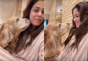 - Sakshi Post