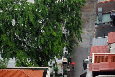 - Sakshi Post