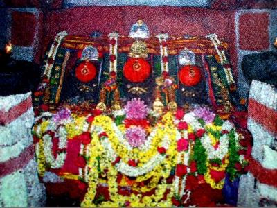 - Sakshi Post