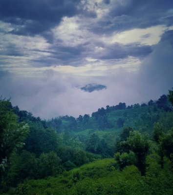- Sakshi Post