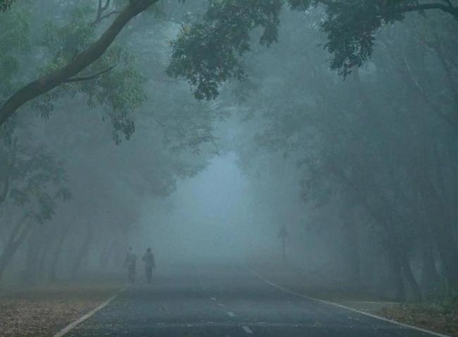 - Sakshi Post