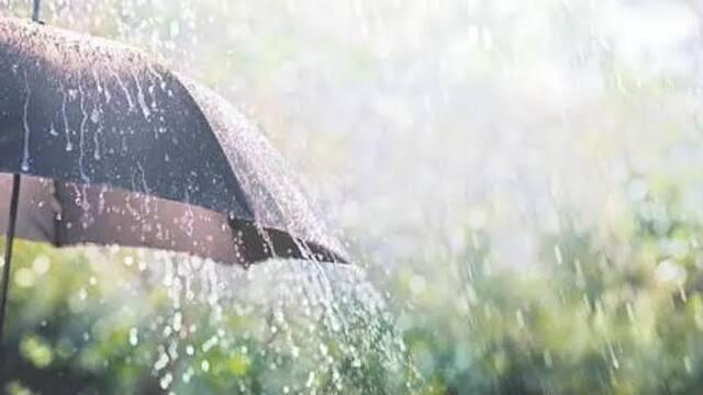 - Sakshi Post