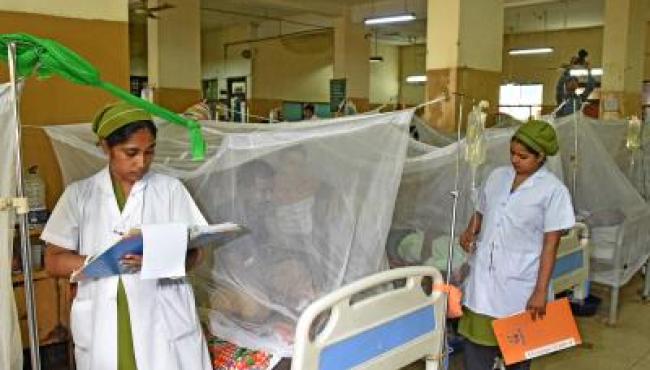 Dengue claims two more lives in Bangladesh, 2025 death toll rises to 259