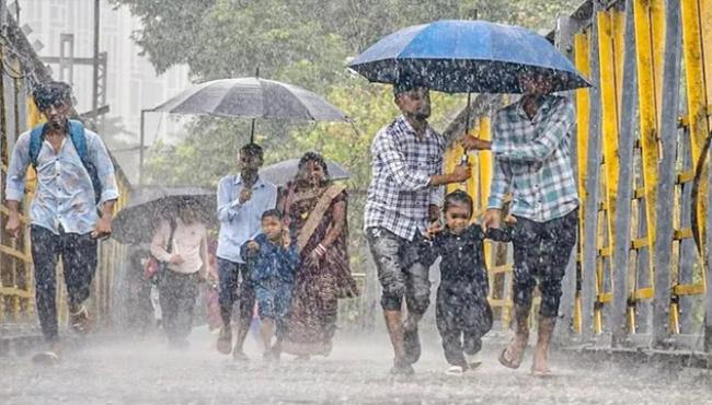 Telangana Rain Alert: Heavy Rain Forecast in 13 Districts